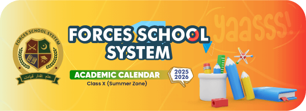 Summer Zone