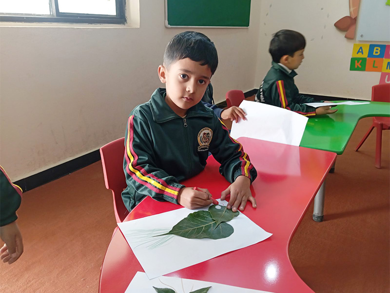 Activities Premium Campus, G-13 Islamabad