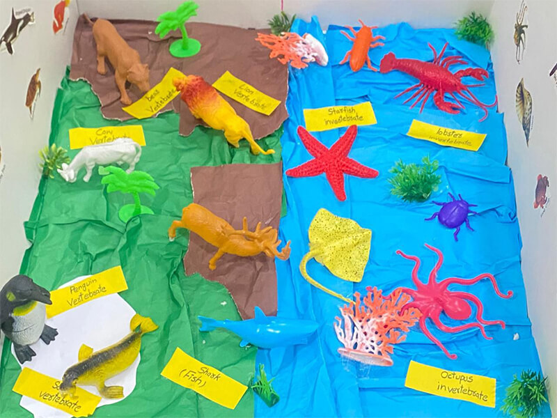 Art & Science Activity Marakiwal Campus, Sialkot