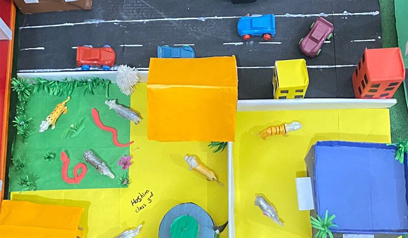 Art & Science Activity Marakiwal Campus, Sialkot